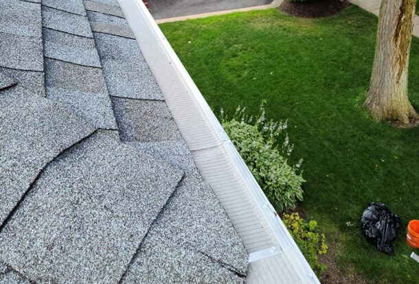 10 reasons to clean your gutters