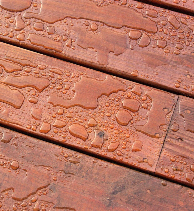 At Ernest Windows, we provide top-quality deck maintenance solutions to keep your outdoor space looking its best while ensuring its longevity and safety. Our services include deck sealing, deck staining, deck cleaning, and deck repairs, all tailored to your deck’s specific needs. 1. Deck sealing and waterproofing Sealing and waterproofing are essential to protecting your deck from harsh elements like sun, water, and ice. Prolonged sun exposure can cause the surface to peel and bubble, while moisture leads to mold and mildew growth. Our sealing process preserves the natural beauty of the wood while extending its lifespan. We offer the best sealing and waterproofing solutions customized to your deck's condition. 2. Deck Staining Staining does more than enhance the appearance of your deck—it protects the wood from weather damage and moisture while being a quick-drying and effective treatment. There are three main types of deck stains: - Clear Stains – Enhance the wood’s natural color. - Semi-Transparent Stains – Lightly tinted to adjust the wood’s tone. - Solid Stains – Rich, deep colors for a bold, long-lasting finish. When providing an estimate, we help you choose the right stain and ensure you get the best value for your investment. Our re-staining process includes sanding or chemical stripping of the old stain, surface cleaning, and repairing any damaged or rotten planks before applying high-quality Benjamin Moore stains for a flawless finish. 3. Deck Cleaning Regular cleaning is essential for prolonging your deck’s life. We offer both power washing and pressure washing, depending on your deck’s material and condition. While DIY cleaning requires renting expensive equipment, hiring our professional team ensures a deep, thorough clean without the hassle. Our cleaning services remove dirt, mold, mildew, soot, and debris, keeping your deck in pristine condition. Beyond power washing, our experienced professionals use various specialized techniques, including hand cleaning, chemical treatments, and soft washing, depending on the surface type. 4. Deck Repairs If your deck is worn, damaged, or unsafe, we provide expert repair services to restore its integrity. Your safety is our priority, so we replace or fix: - Rotten or weakened wood - Loose screws and nails - Any structural issues that could pose a hazard More Than Just Decks! Our services extend beyond deck maintenance—we also clean and maintain patios, sidewalks, and driveways. If you're experiencing any issues with your deck or outdoor surfaces, give us a call, and we’ll provide the solution you need!
